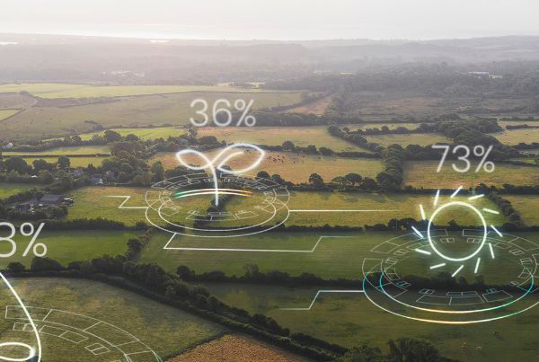Enhancing Farm Efficiency through Digital Experience in the Agriculture Industry