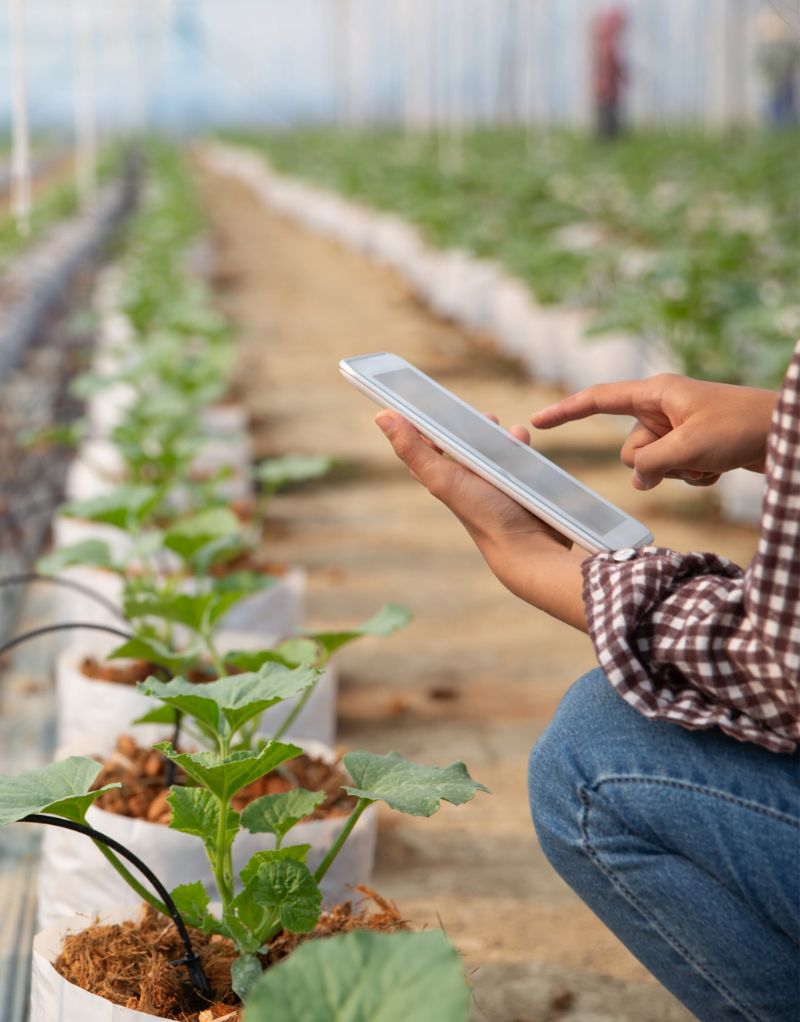 Farming solutions by CCI, farming automation, data analytics